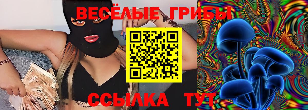 Галлюциногенные грибы MAGIC MUSHROOMS Ржев